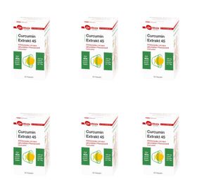 Dr. Wolz Curcumin Extrakt 45 - 6 x 90Kaps.(540Kps) + 10 Hübner Proben