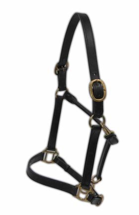 Lederhalfter, braun, Gr. Warmblut, mit weißen Nähten  B WAHL***