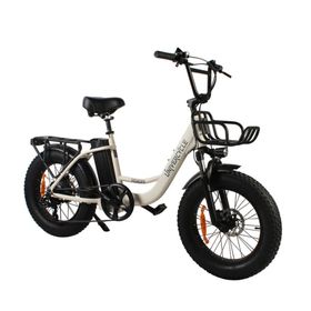 Univercycle B5(Venere) Fahrrad mit Frontgepäckträger, 48V 15Ah Akku