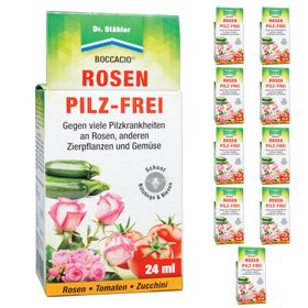 SILBERKRAFT Boccacio Rosen Pilz-Frei