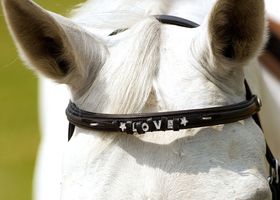 AMKA Stirnband Nora für Strasssteine, schwarz