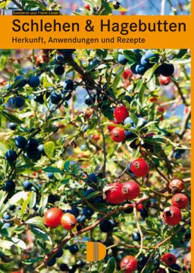 Schlehen & Hagebutten