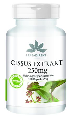 Warnke Vitalstoffe | Cissus Extrakt 250mg