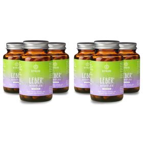 BitterLiebe - Leber* Kapseln - Leberkur - natürliche Unterstützung der Leberfunktion* mit Cholin