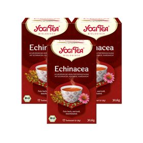 Yogi Tea - Echinacea Bio Kräutertee