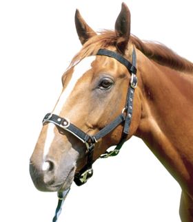 AMKA Kappzaum, Nylon