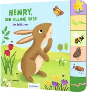 Henry, der kleine Hase