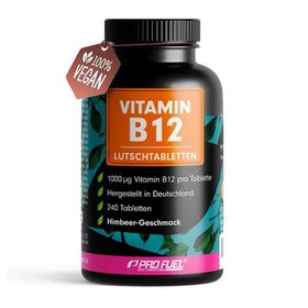ProFuel Vitamin B12