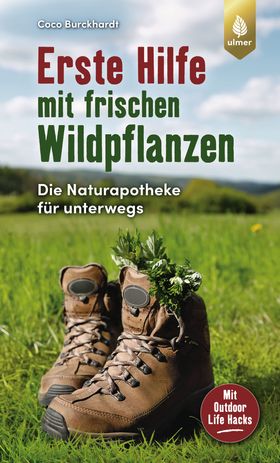 Erste Hilfe mit frischen Wildpflanzen