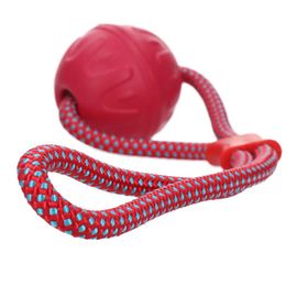 Dog Comets Vortex Loop Rosa