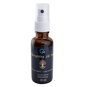 Shēngmìng zhī mén -  Absolute Qi-Health Spray um Lunge, Bronchien, die Lebensenergie Qi zu stärken