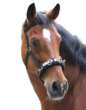 Waldhausen Kappzaum Nylon, schwarz, weich gepolstert