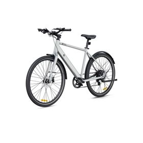 DYU Stroll 1 Elektrofahrrad mit 36V 9Ah Akku