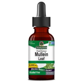 Nature's Answer, Mullein Leaf Extract (Kleinblütiges Königkerzenblatt-Extrakt), , Vegan