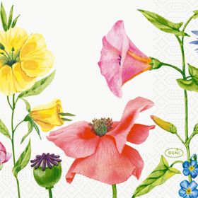 20x Serv.24x24 3lg 1/4 Flowy Meadow 50P.