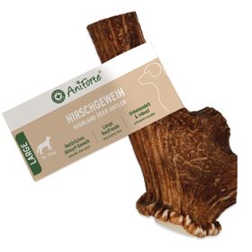 AniForte Hochland Hirschgeweih Large