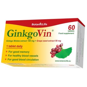 BotanicLife Gedächtnis Energie GinkgoVin
