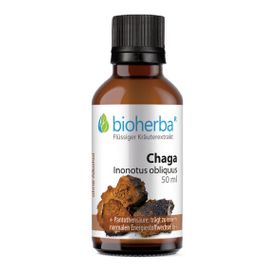 Chaga Inonotus obliquus Tropfen Tinktur