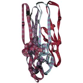 Weaver Hundehalsband Hunt & Sport Plus Premium Geschirrleder, 2,5 cm breit