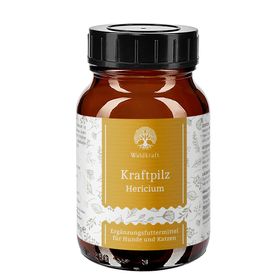 Waldkraft Kraftpilz Hericium