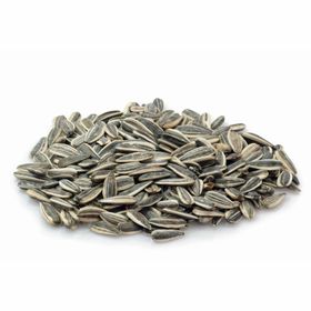 Öz Natur | Sonnenblumenkerne gesalzen