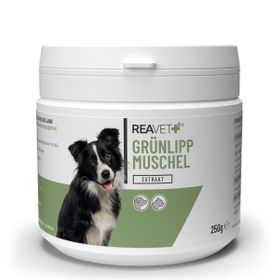 Grünlippmuschel Extrakt - ReaVET