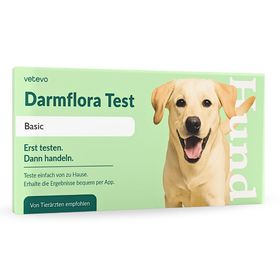 Darmflora Test Hund