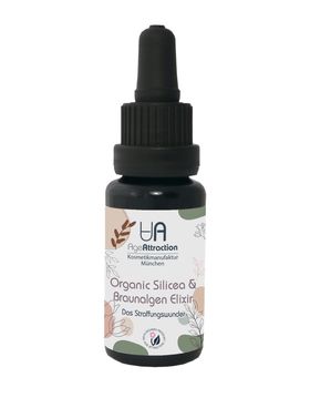 AGE ATTRACTION Organic Silicea & Braunalge Elixier