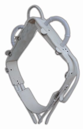 AMKA Voltigiergurt MASTER