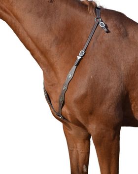 AMKA Vorderzeug portugiesisch