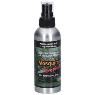 Mosquito Tropical