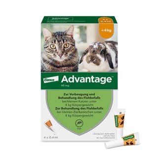 Advantage Spot-On 40 gegen Flöhe für kleine Katzen und Zierkaninchen bis 4 kg Körpergewicht