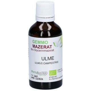 Gemmo Mazerat Olive  Gemmotherapie fr Stoffwechsel und Kreislauf 50 ml -  Shop Apotheke