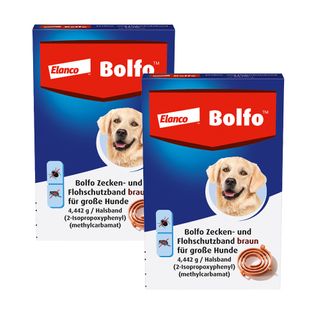 Kiltix Halsband fr mittelgroe Hunde gegen Zecken und Flhe, bis zu 6  Monate Wirkung, Lnge ca. 48 cm 1 St - Shop Apotheke