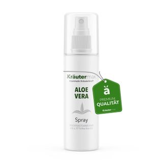 aloe vera in seramis pflanzen Aloe Vera Barbadensis (Alter 5-6 Jahre) – Secret Garden Plant Shop