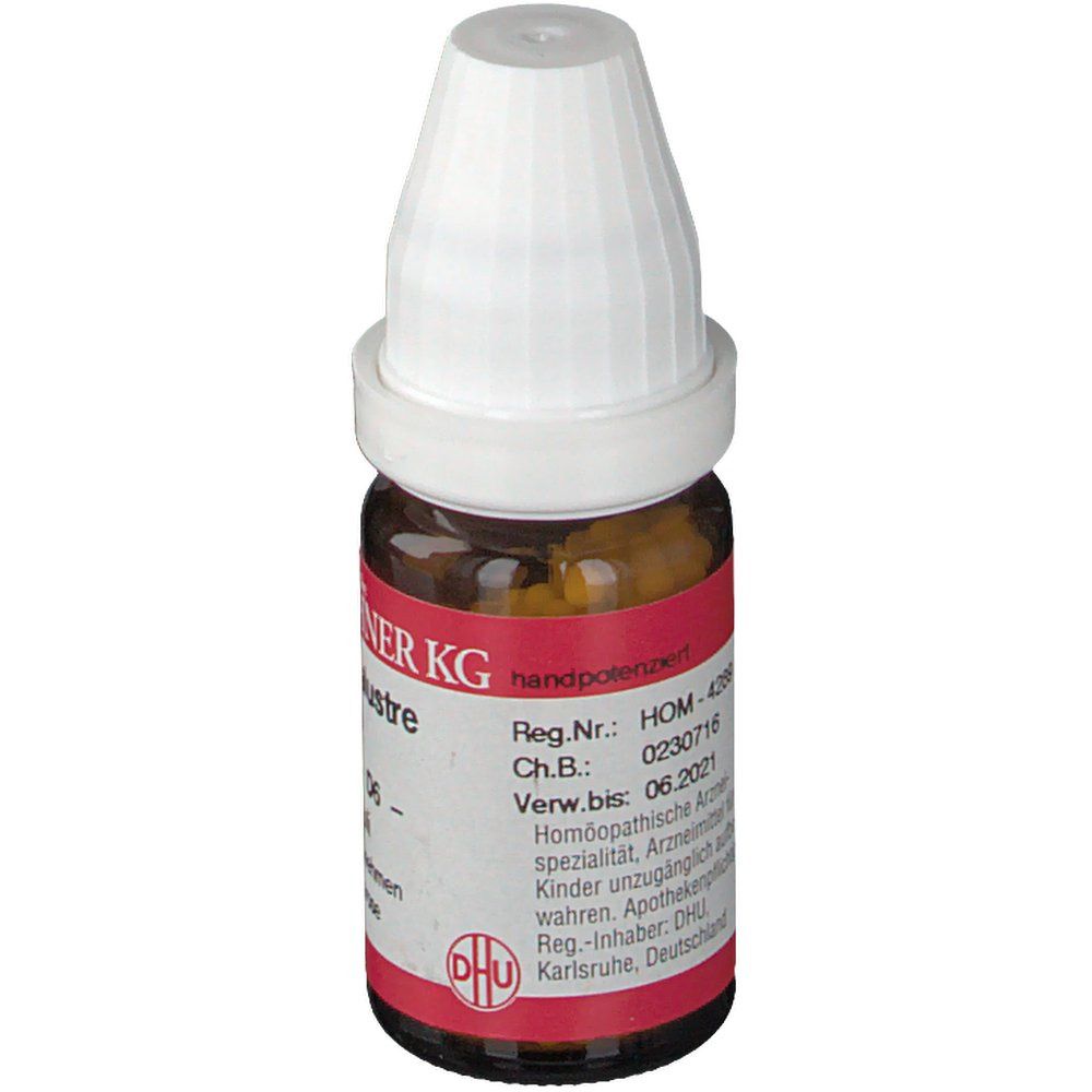 DR. PEITHNER KG Ledum palustre DHU D6