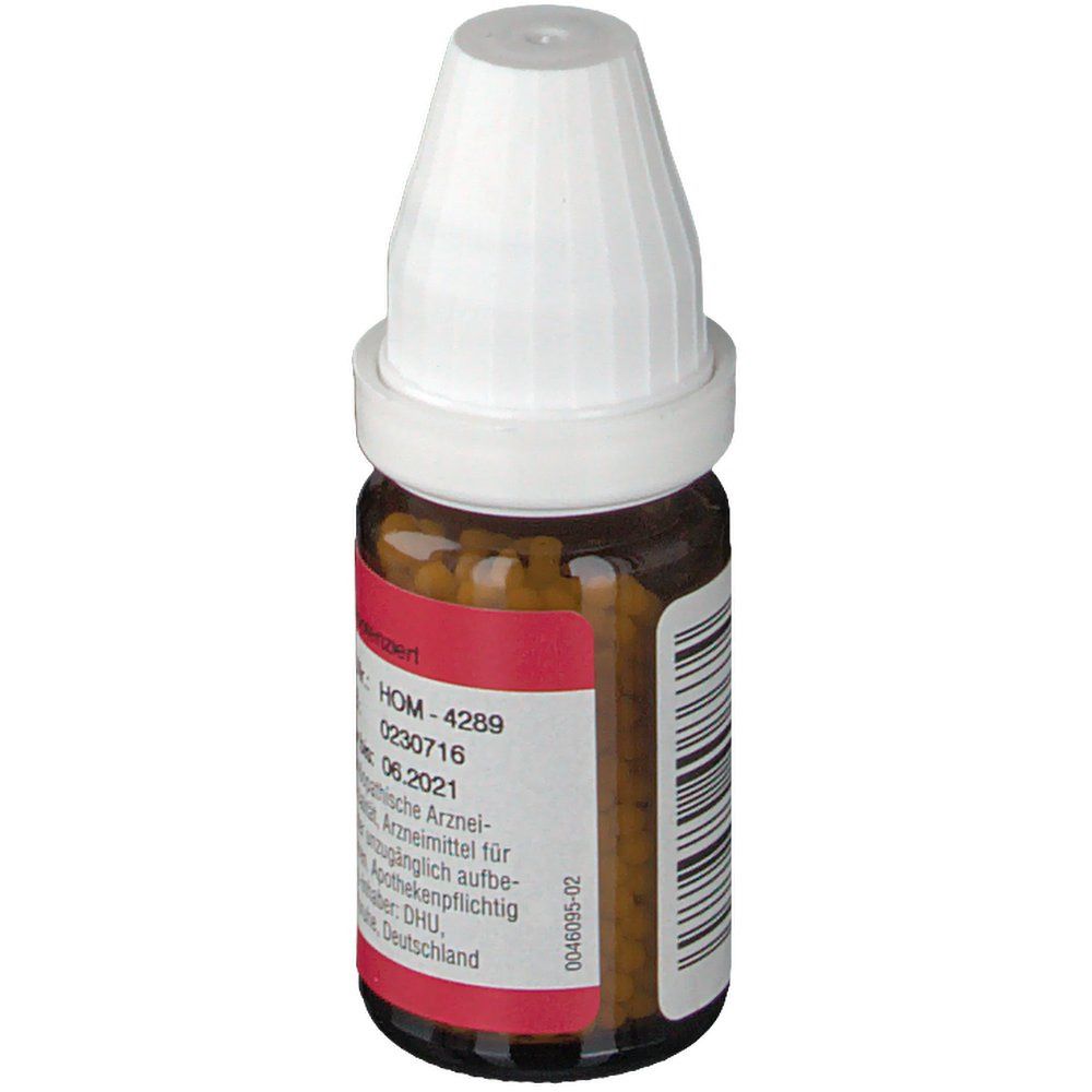 DR. PEITHNER KG Ledum palustre DHU D6