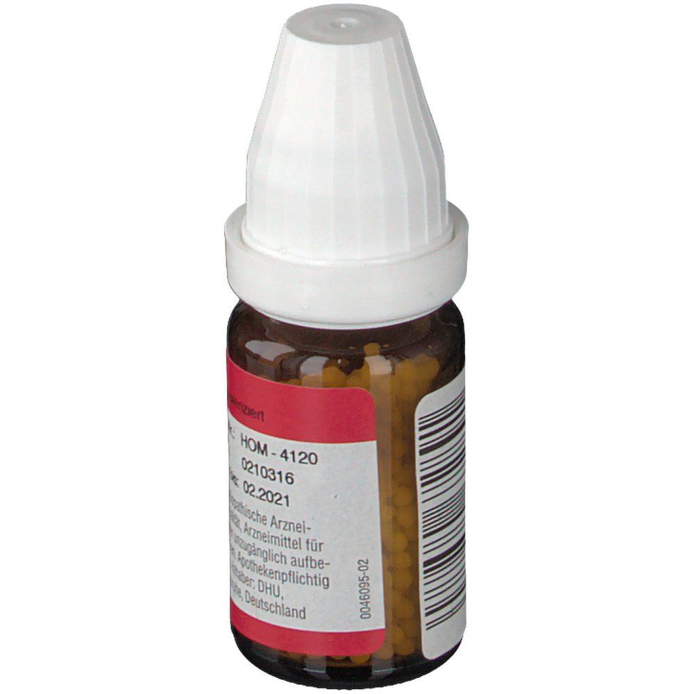 DR. PEITHNER KG Daphne mezereum DHU D6