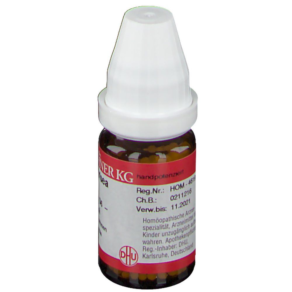 DR. PEITHNER KG Ambra grisea DHU D6
