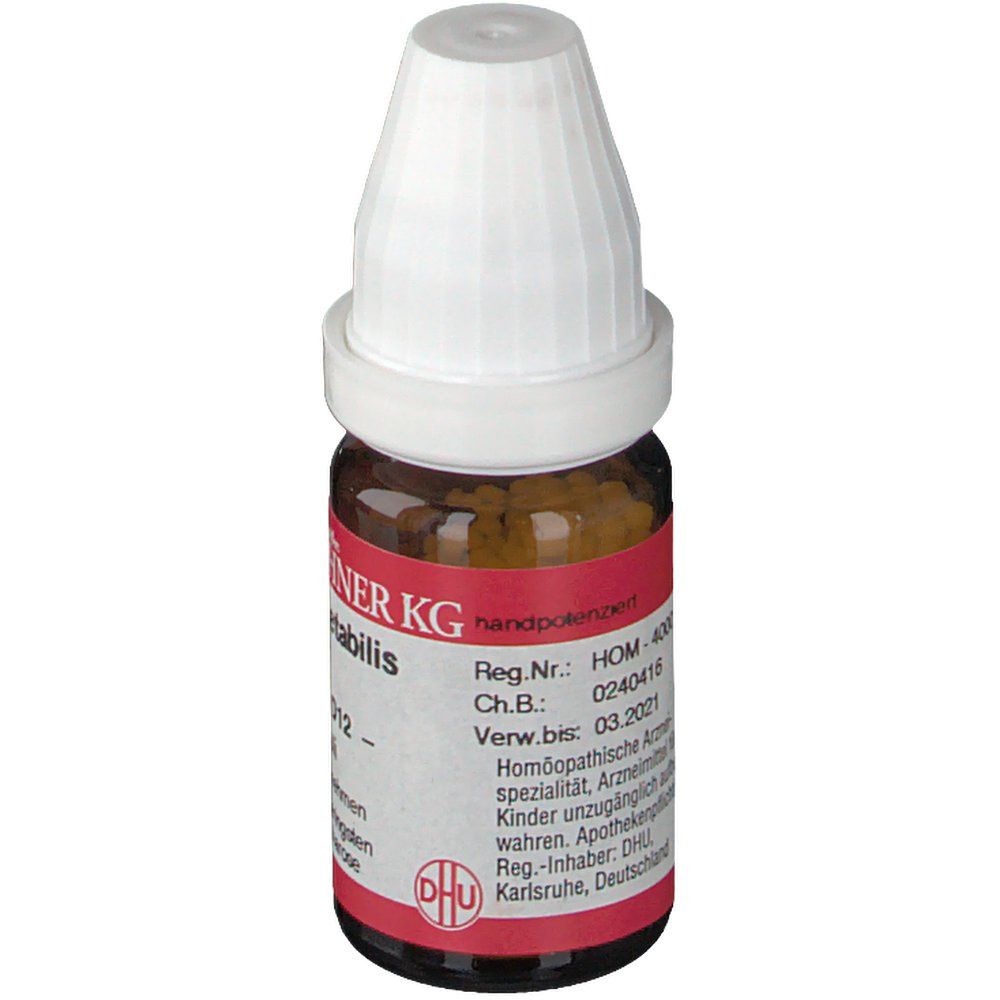 DR. PEITHNER KG Carbo vegetabilis DHU D12