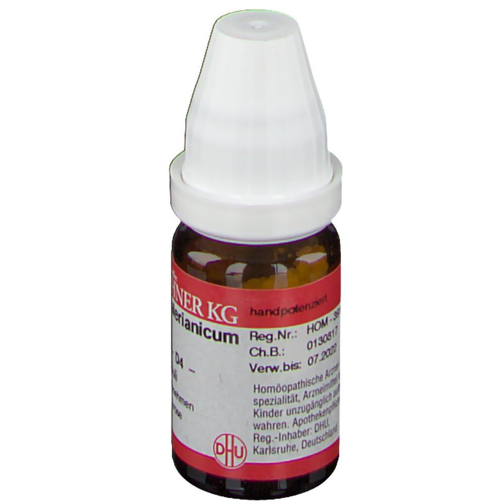 DR. PEITHNER KG Zincum isovalerianicum DHU D4