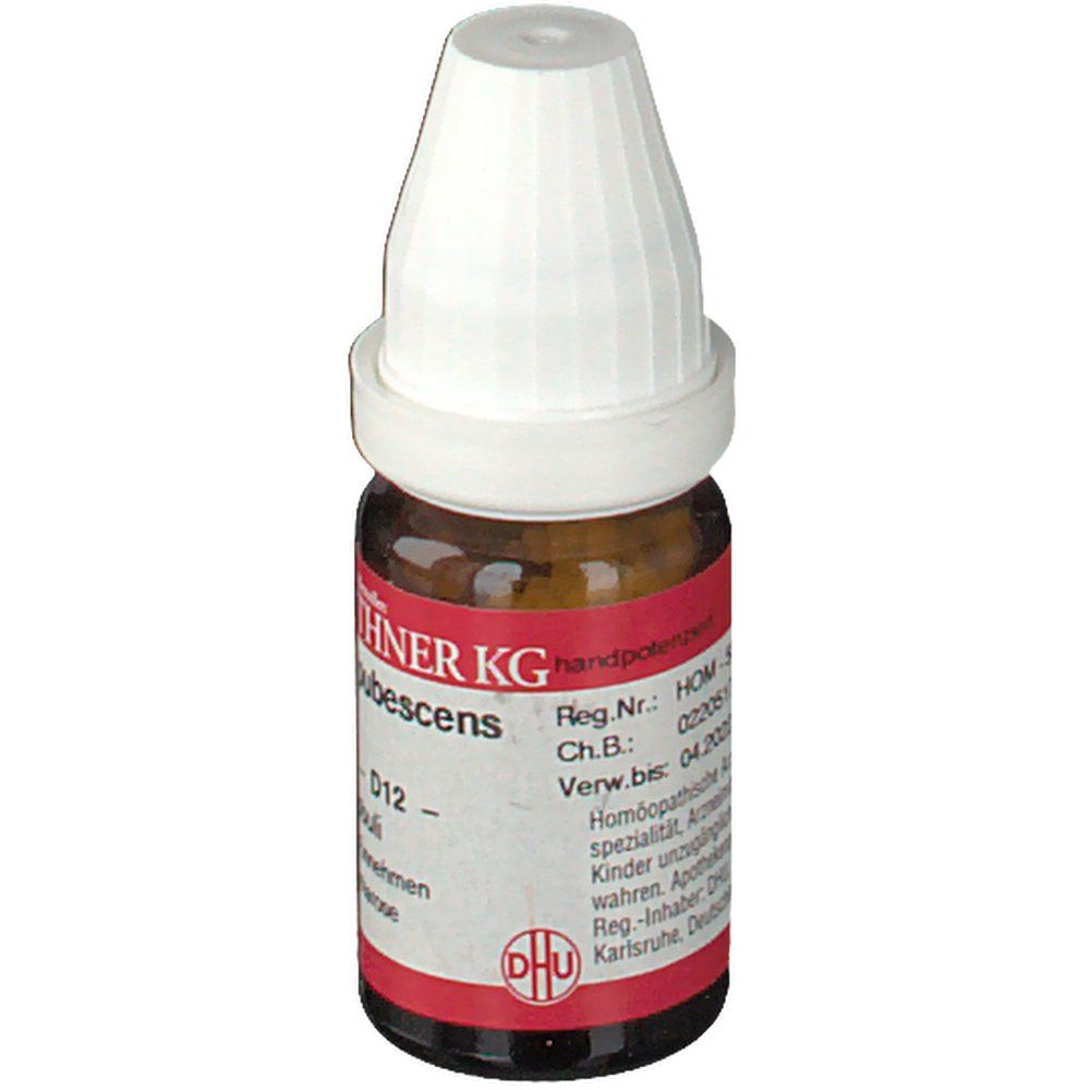 DR. PEITHNER KG Cinchona pubescens DHU D12