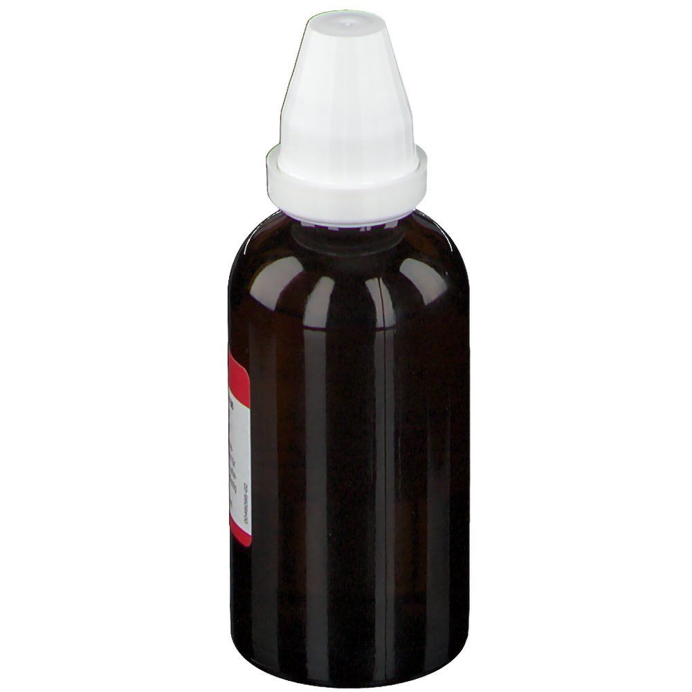 DR. PEITHNER KG Bryonia cretica DHU D4