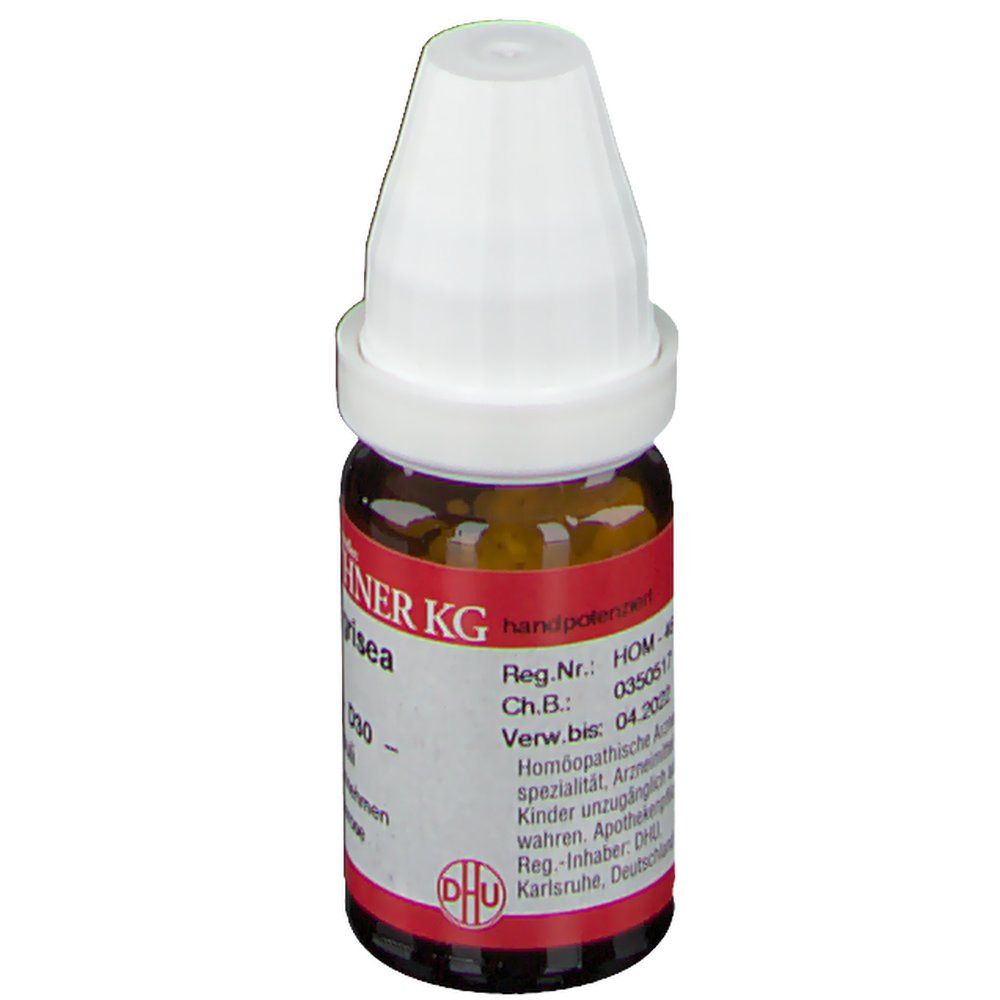 DR. PEITHNER KG Ambra grisea DHU D30