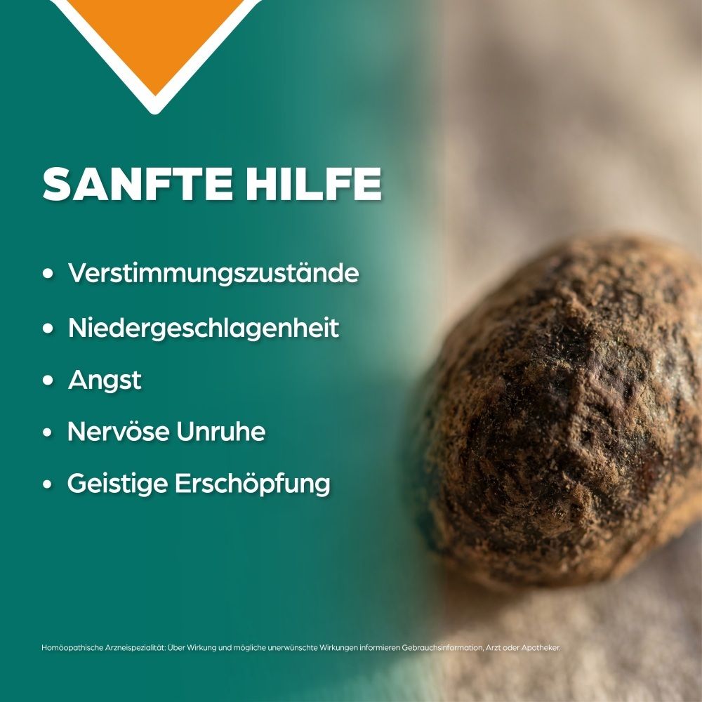 Liste von Beschwerden: Verstimmungszustände, Niedergeschlagenheit, Angst, Nervöse Unruhe, Geistige Erschöpfung.