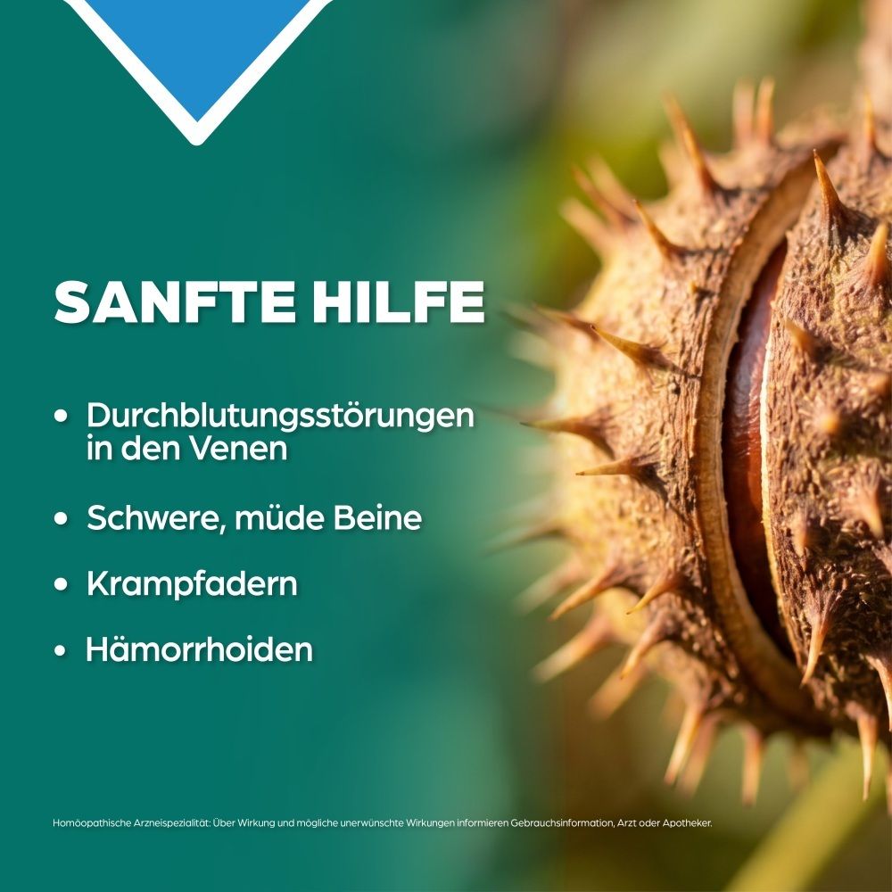 Rosskastanie und Text über sanfte Hilfe bei Venenproblemen.
