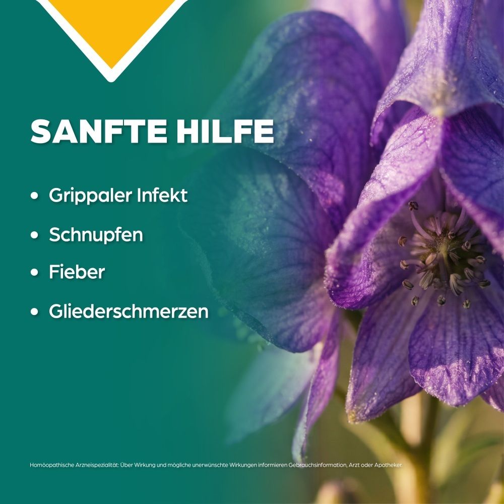 Sanfte Hilfe bei grippalem Infekt, Schnupfen, Fieber, Gliederschmerzen.