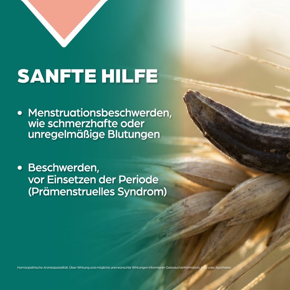 Kornähren und Apozema Logo. Text: Sanfte Hilfe bei Menstruationsbeschwerden.