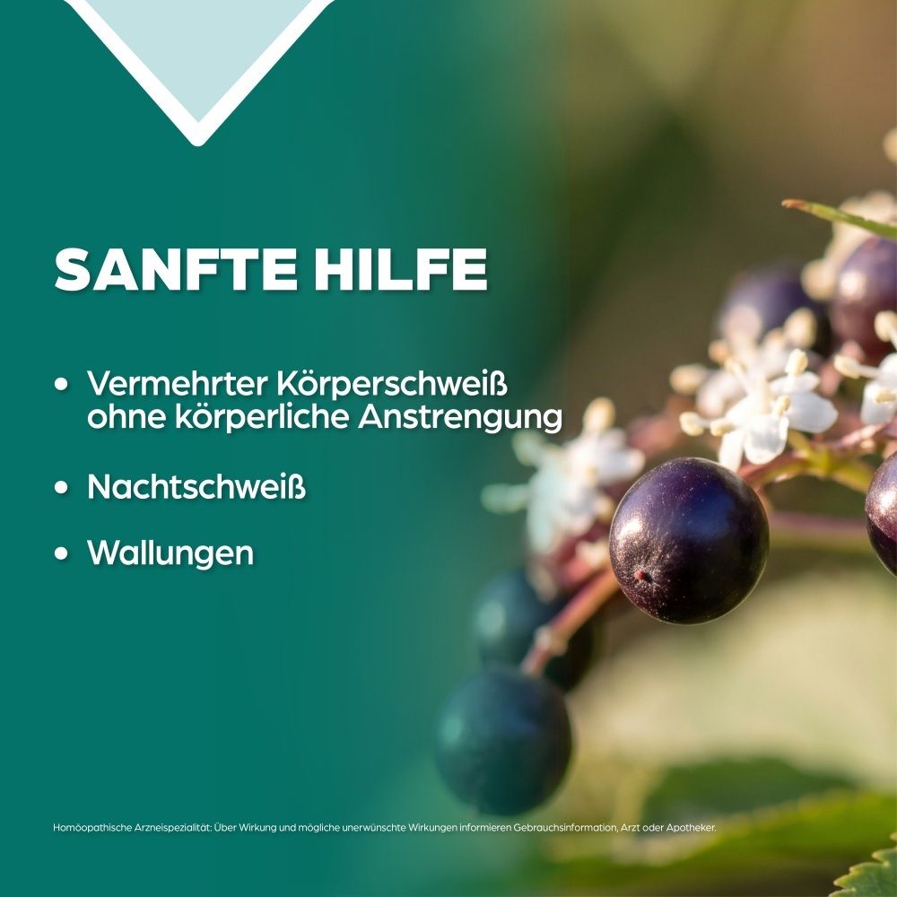 Nahaufnahme von Holunderbeeren und Blüten, Text: "Sanfte Hilfe".
