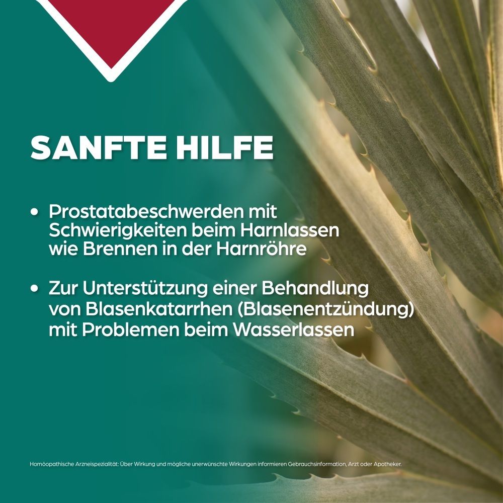 Text 'Sanfte Hilfe' über Aufzählungspunkten zu Prostatabeschwerden und Blasenkatarrh.